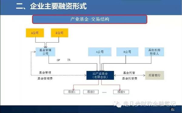多肽精华亚洲色成人网站www永久尤物，揭示肌肤年轻的秘密武器